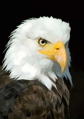 Low Poly Eagle