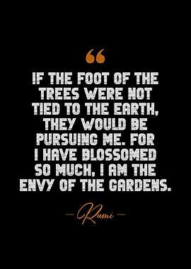 Rumi