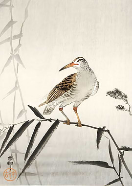 Ukiyo e Black horseman