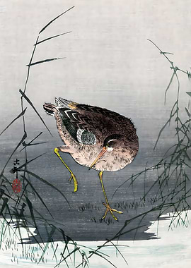 Ukiyo e Ashi ni shigi