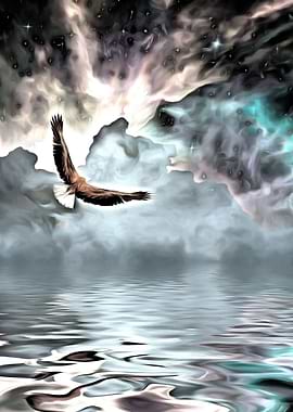 Eagle flies above water