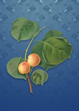 Vintage Yellow Apricot