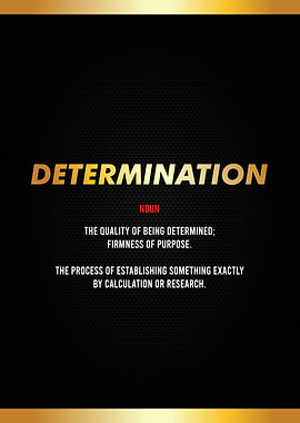 determination definition