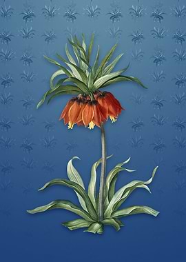 Vintage Fritillaries
