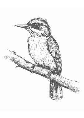 Sketch of bird hand draw