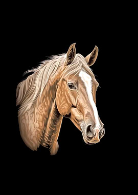 Horse Head Face Equestrian