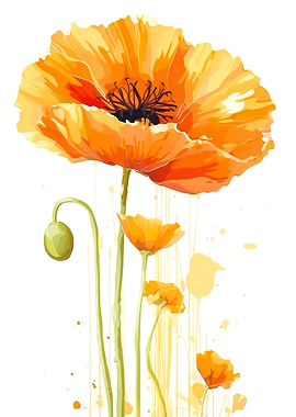Poppy Flower