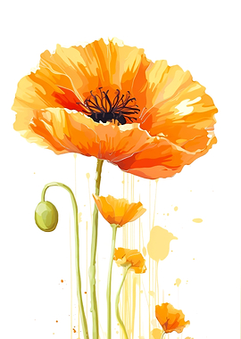 Poppy Flower