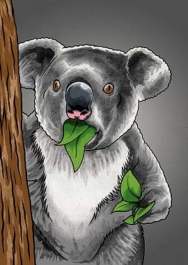 Surprised Koala