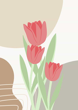 Tulip Flowers