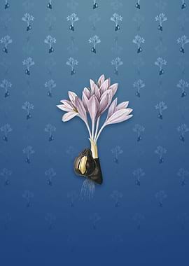 Vintage Autumn Crocus