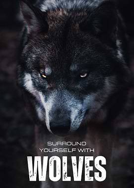 Surround yourself wolves