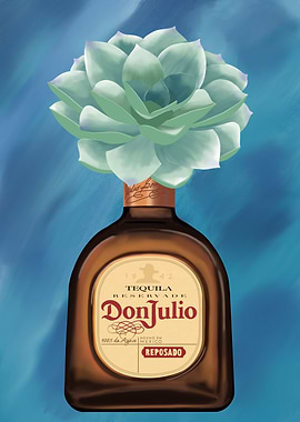 Don Julio succulent