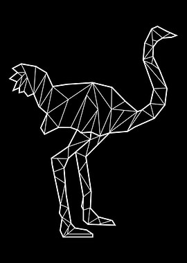 Ostrich Flightless Bird