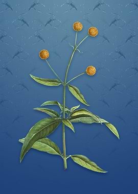 Vintage Orange Ball Tree