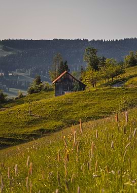 Swiss mountain Barn