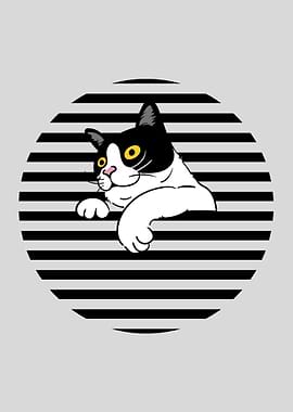 Looking For Something