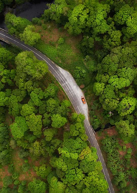 Among fields of broccoli