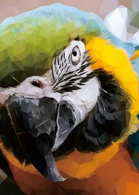 Low Poly Parrot