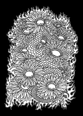 Snake chrysanthemum BnW