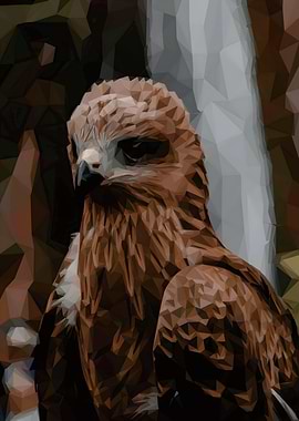 Low Poly Eagle