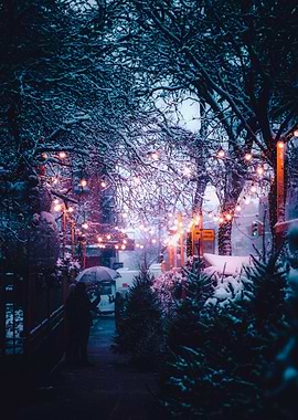 Landscape Photography