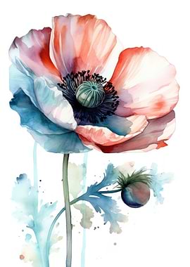 Anemone Flower Watercolor
