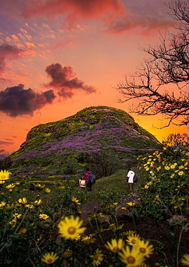 Landscape Photography