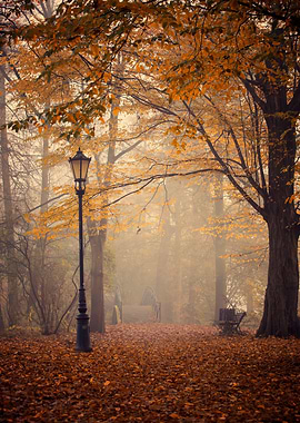 Autumn path, bridge, park