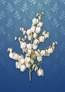 Aloe Yucca on Bahama Blue