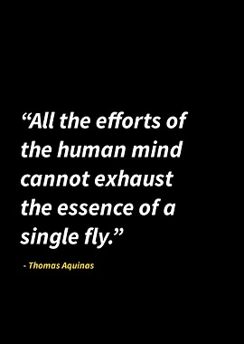 Thomas Aquinas quotes