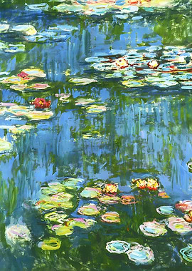 Water Lilies