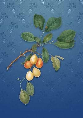 Cherry on Bahama Blue