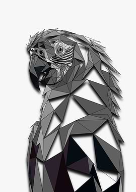 Macaw Lowpoly Half Frame