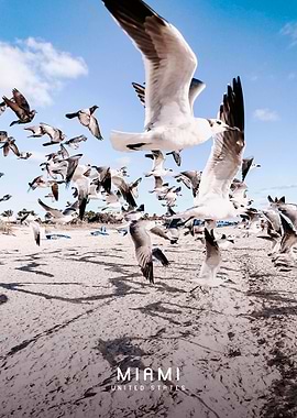 Miami