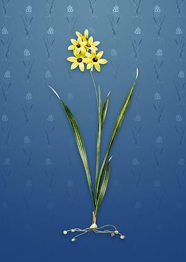 Vintage Ixia Fusco Citrina