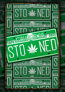 Stoned license plate