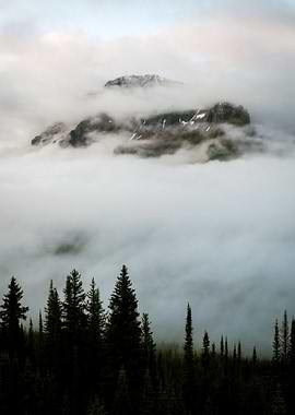 MISTY MOUNTAIN