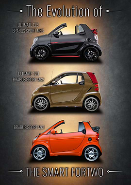 Smart Fortwo Evolution