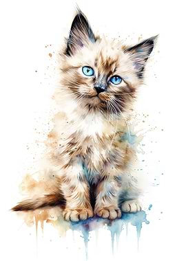 Watercolor Birman Cat Baby