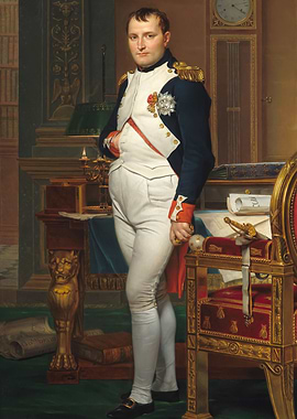 The Emperor Napoleon