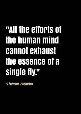 Thomas Aquinas quotes