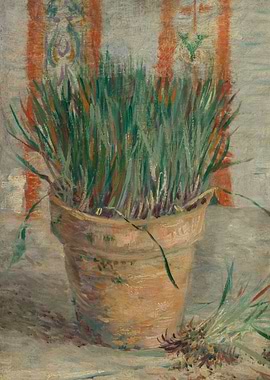 Flowerpot Garlic Chives