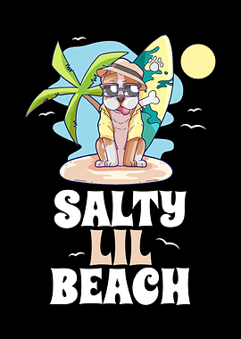 Salty Lil Beach