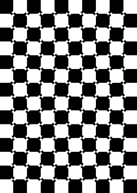 Black White Illusion