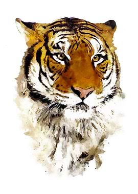 Majestic Tiger Watercolor