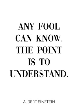 Albert Einstein Quote