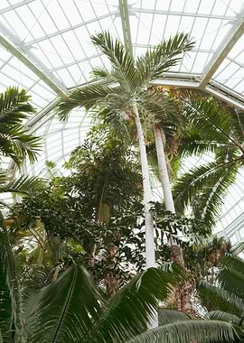 Botanical Garden Views