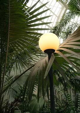 Botanical Garden Views