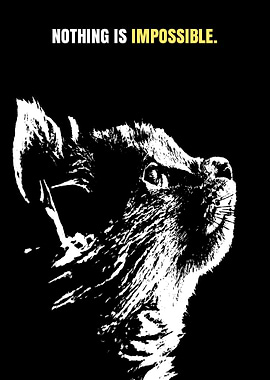 Inspirational Quotes